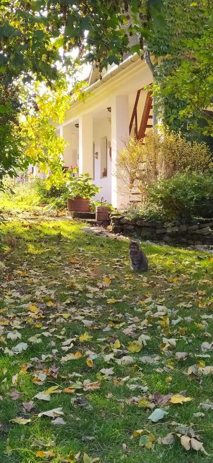 فندق Egkoris Vendeghaz Bakonyszucs المظهر الخارجي الصورة