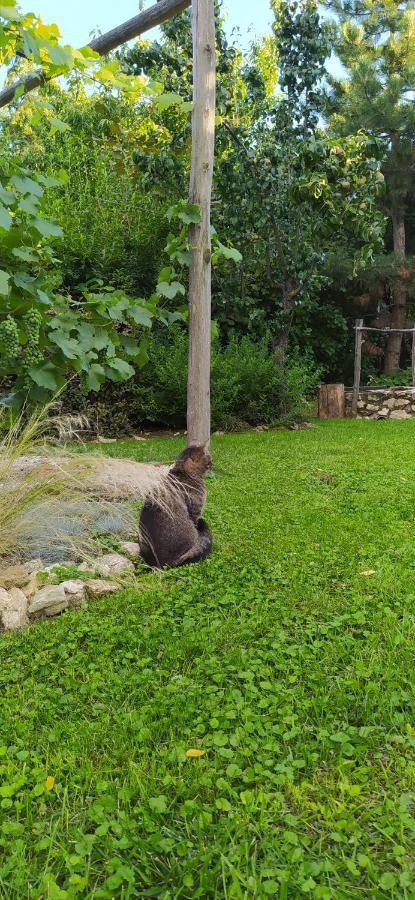 فندق Egkoris Vendeghaz Bakonyszucs المظهر الخارجي الصورة
