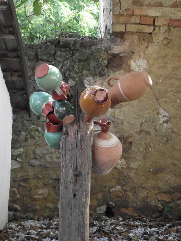 فندق Egkoris Vendeghaz Bakonyszucs المظهر الخارجي الصورة